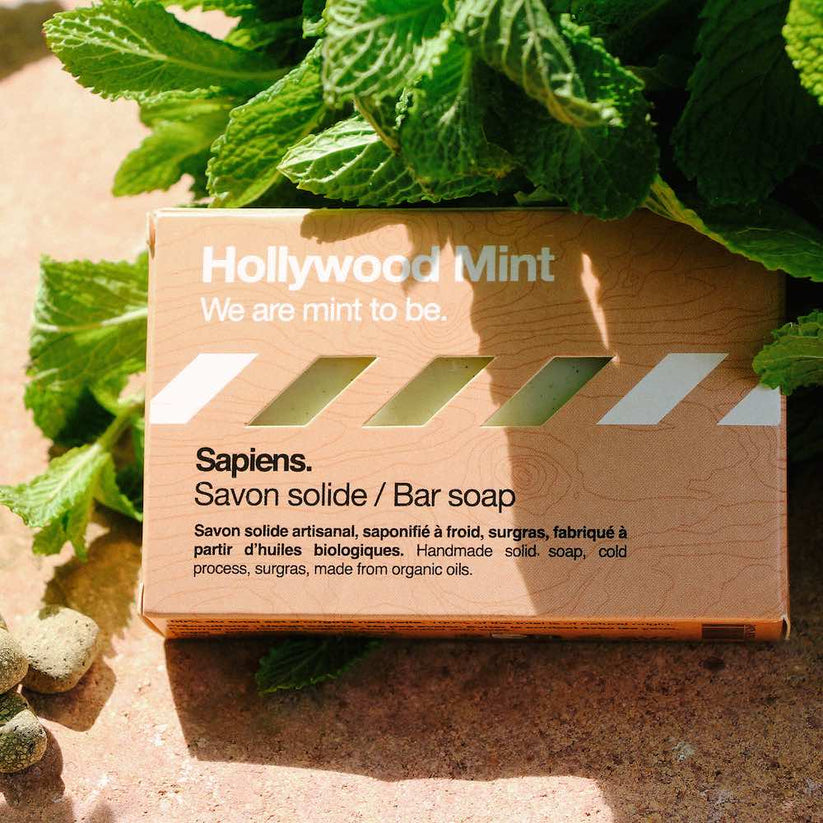 Savon Solide Hollywood Mint 100G